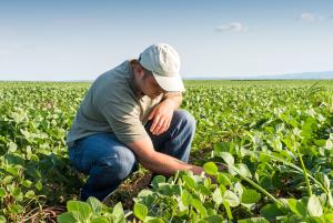 Vendita diretta di prodotti coltivati in proprio da agricoltori